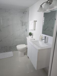 圣胡安San Juan Home的白色的浴室设有卫生间和水槽。
