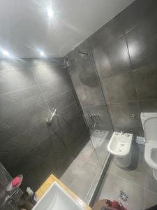门多萨Departamento en peatonal Mendoza的带淋浴、卫生间和盥洗盆的浴室