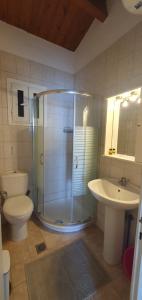 格利法达Glyfada Seaview 126的带淋浴、卫生间和盥洗盆的浴室