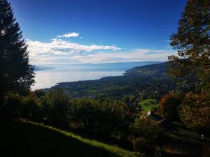 蒙特勒Elvira House Montreux, un lieu magique !的从树木茂密的山丘上欣赏湖景
