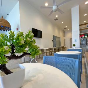 圣安德烈斯Azure Lofts & Pool的一间带桌椅和盆栽的用餐室