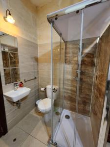 Għajn il-KbiraBest Relax in the best part of Gozo your own bedroom with Ensuite Toilet and Shared Pool Bed and Breakfast的带淋浴、卫生间和盥洗盆的浴室