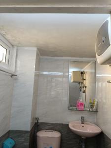 大叻Grey House的一间带水槽、卫生间和镜子的浴室