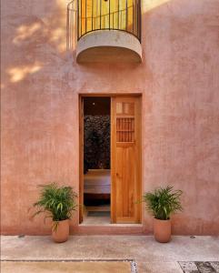 梅里达Casa Aurora Mérida, Centro Histórico的两株盆栽植物的粉红色建筑的入口