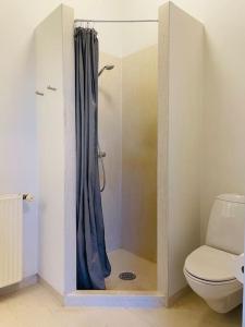 瓦埃勒Assendrupgaard Vejle的带淋浴、卫生间和浴帘的浴室