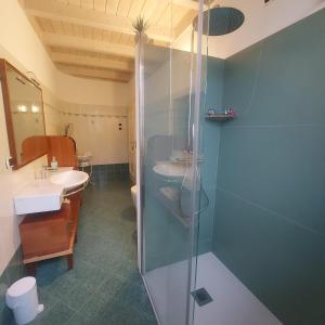 阿拉Relais diVINO的带淋浴和盥洗盆的浴室