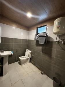 ShojaSunshine Cafe & Cottage Riverside的一间带卫生间和水槽的浴室