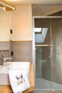 利维尼奥Hotel Galli's - Centro的一间带水槽和淋浴的浴室