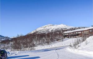 霍夫登Hovden Alpin Apartments的一座建筑物前的雪覆盖的山