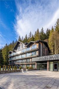 布克维Wood Hotel Resort & SPA的山中世界的 ⁇ 染酒店