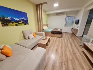 内戈蒂诺Bojana Apartment的客厅配有沙发和桌子