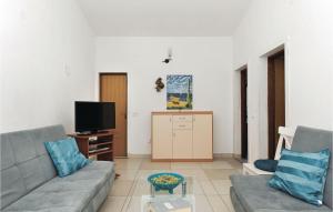 扎格拉维奇Cozy Apartment In Kanica With Wifi的带沙发和电视的客厅