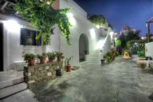帕罗奇亚Eleni Dream Village的白色建筑的庭院,种植了盆栽植物