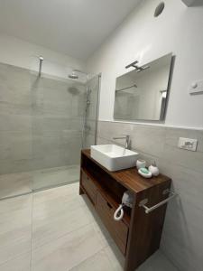 特伦托Ai Tre Garofani B&B的浴室配有盥洗盆和带镜子的淋浴