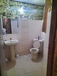 蒙巴萨Kikambala Eco Villas的一间带卫生间和水槽的浴室