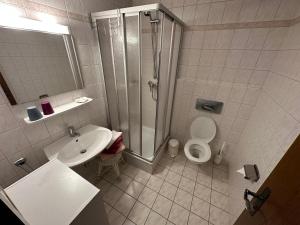Neukirchen阿尔门劳什酒店的带淋浴、盥洗盆和卫生间的浴室