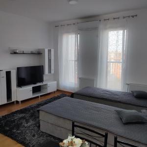 诺维萨德Centar Apartman FILIPOVSKI的一间卧室配有两张床和一台平面电视