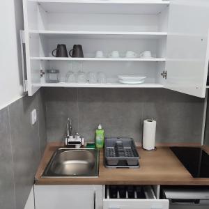 诺维萨德Centar Apartman FILIPOVSKI的厨房配有水槽和台面