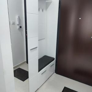 诺维萨德Centar Apartman FILIPOVSKI的浴室设有白色橱柜和镜子