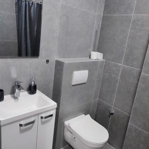 诺维萨德Centar Apartman FILIPOVSKI的浴室配有白色卫生间和盥洗盆。