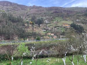 BustielloCasa Rural en Santa Cruz-Mieres的登山轨道上的火车