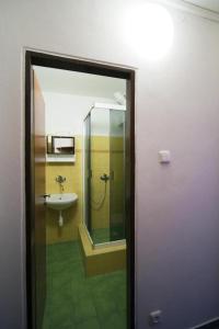 捷克布杰约维采Horska chata Svetlanka的浴室配有盥洗盆和带镜子的淋浴