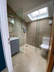 LlandogoTiny home, the Wye Valley, Clanna Cottage Llandogo的浴室配有卫生间、盥洗盆和淋浴。