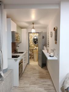 科利比塔Cabana de pe Stanca的厨房配有白色的柜台、水槽和门