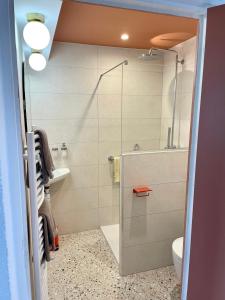 RévilleLa Gervaiserie - 300m de la plage的带淋浴和卫生间的浴室