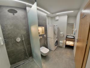 基希讷乌Apartment OneClickRenrt Oasis的带淋浴、卫生间和盥洗盆的浴室