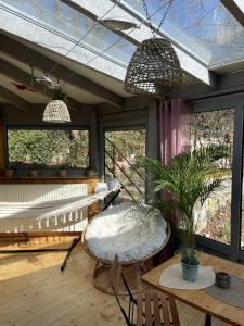 坦嫩基什Le Manoir des Sens - Forêt de Bergheim的客房设有长凳、桌子和窗户。