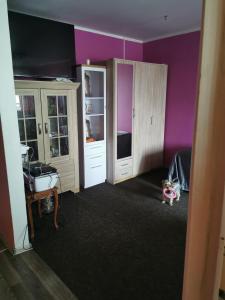 塔林Akadeemia tee appartamendid的一间紫色墙壁的客房和一间带书桌的卧室