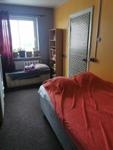 塔林Akadeemia tee appartamendid的一间卧室设有一张床和一个窗口