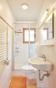 比绍夫斯维森Haus Wendland的浴室配有卫生间、盥洗盆和淋浴。