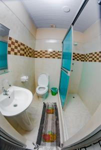 莱蒂西亚Hotel Alto Amazonas的一间带水槽、卫生间和淋浴的浴室
