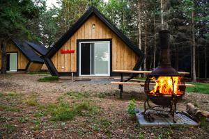SurreyWild Pines Cabins的小木屋前的火坑