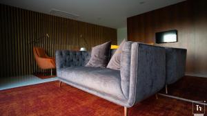 阿纳迪亚Quinta das Donas的客厅配有沙发