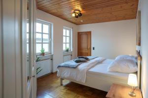 特里尔Casa Benedicta的一间卧室设有一张木天花板床。