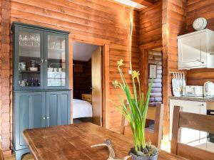 牛顿莫尔松鼠景观乡村别墅的厨房配有蓝色橱柜和木墙