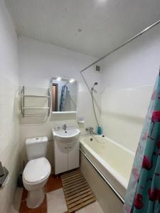 Bega Cirumvalatiunii One Room Apartment- 4平面图