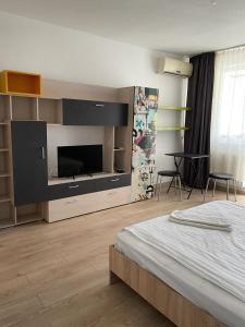 Bega Cirumvalatiunii One Room Apartment- 4平面图