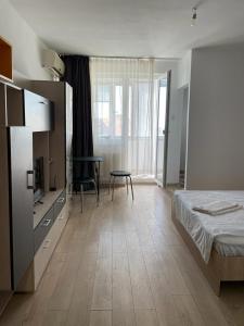 Bega Cirumvalatiunii One Room Apartment- 4平面图