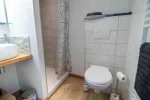 蒙贝利亚尔Studio, Parking, Près université的一间带卫生间和淋浴的小浴室