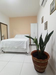 库亚巴Temporada Cuiabana的一间卧室配有一张床和盆栽植物