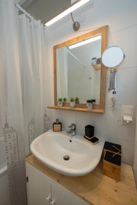 维也纳Delightful 1 bedroom near Schönbrunn and Westbahnhof with big porch的一间带水槽和镜子的浴室