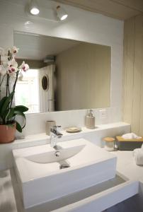 勒博塞La Bastide du Beausset-Vieux的一间带水槽和大镜子的浴室
