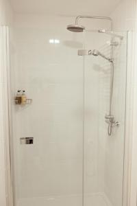 菲什加德JT Abergwaun hotel的带淋浴的浴室和玻璃门