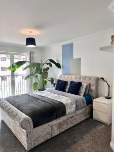 South KessockThe Meadow, River view apartment的一间卧室配有一张带蓝色枕头的大床