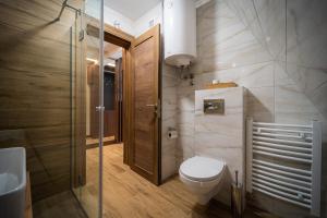 迪瓦伊巴雷BOROVI ROYAL wellness&spa的一间带卫生间和玻璃淋浴间的浴室