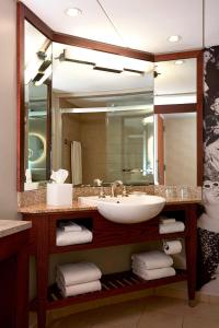 哥伦布哥伦布市中心万丽酒店的一间带水槽和大镜子的浴室